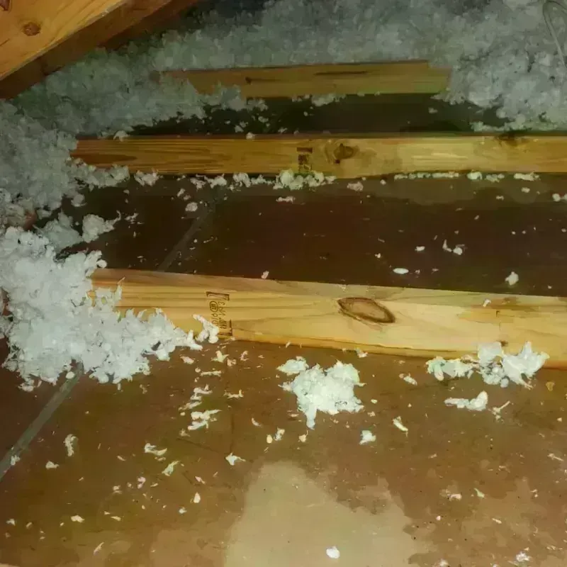 Attic Water Damage in Rockwall, TX