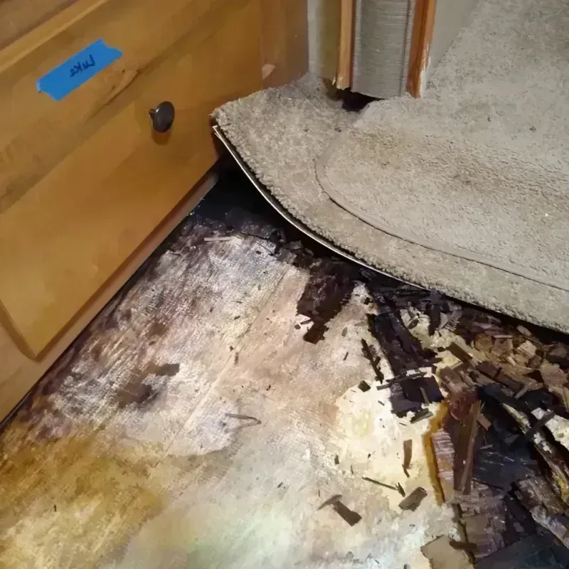 Wood Floor Water Damage in Rockwall, TX